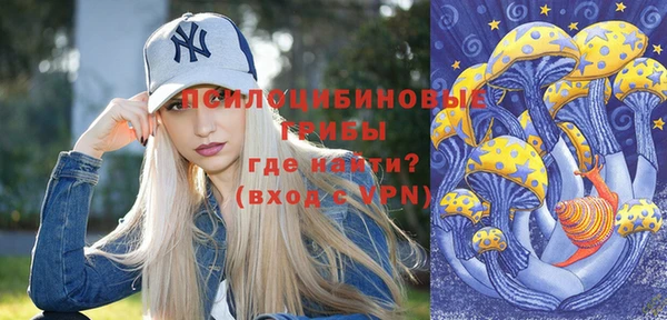 СК Алзамай