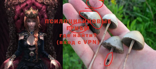ПСИЛОЦИБИНОВЫЕ ГРИБЫ Няндома