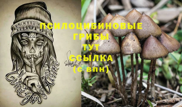 СК Алзамай